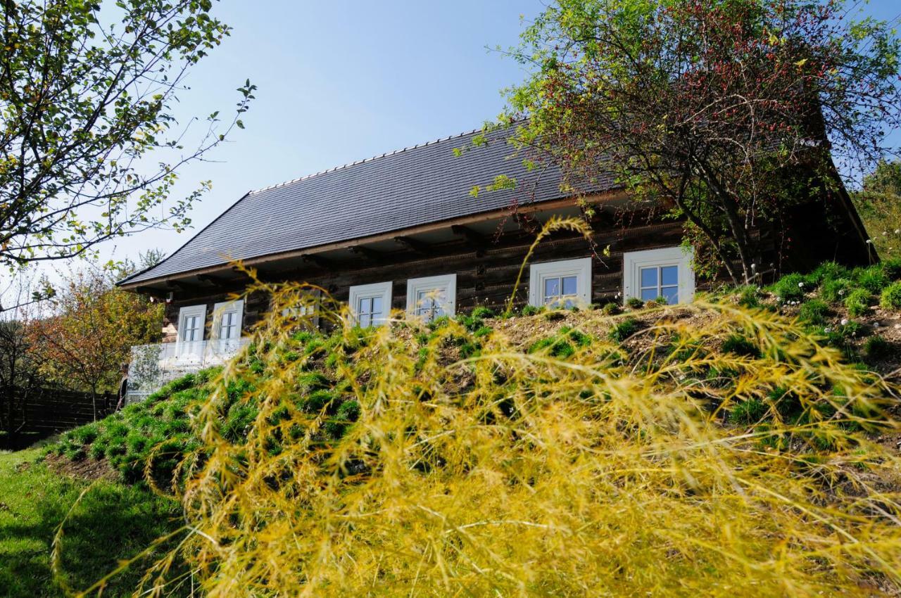 Kacza - Z Jacuzzi Villa Krakau