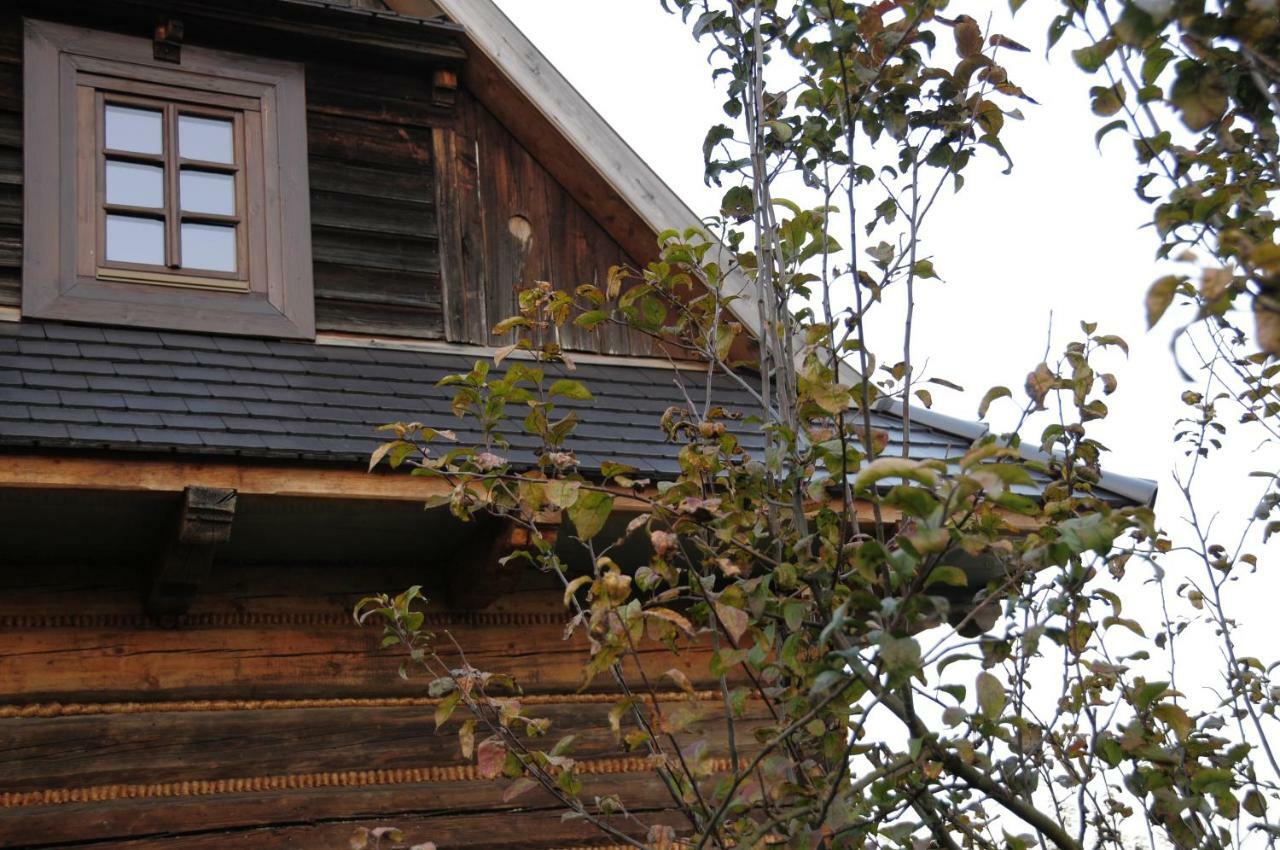 Villa Kacza - Z Jacuzzi *